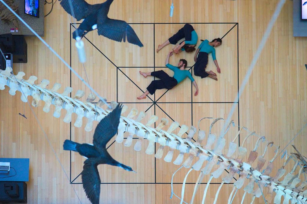 Genoma Scenico – performance interattiva