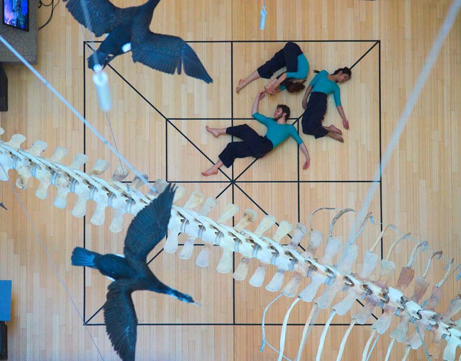 Genoma Scenico – performance interattiva