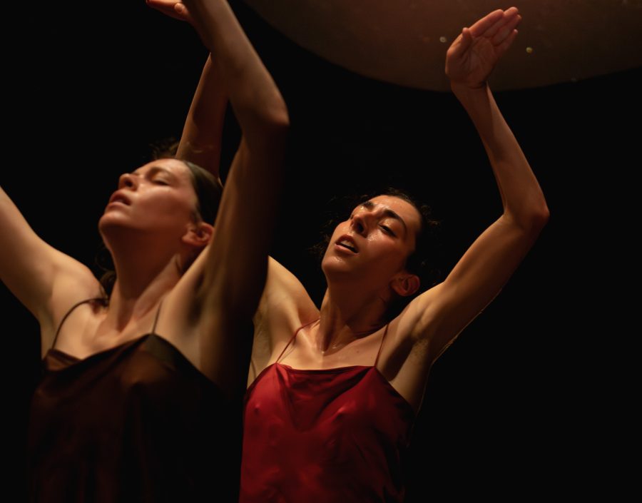 LAST MOVEMENT OF HOPE II – Organi